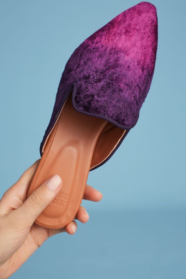 Jasper & Jeera Velvet Slides #2