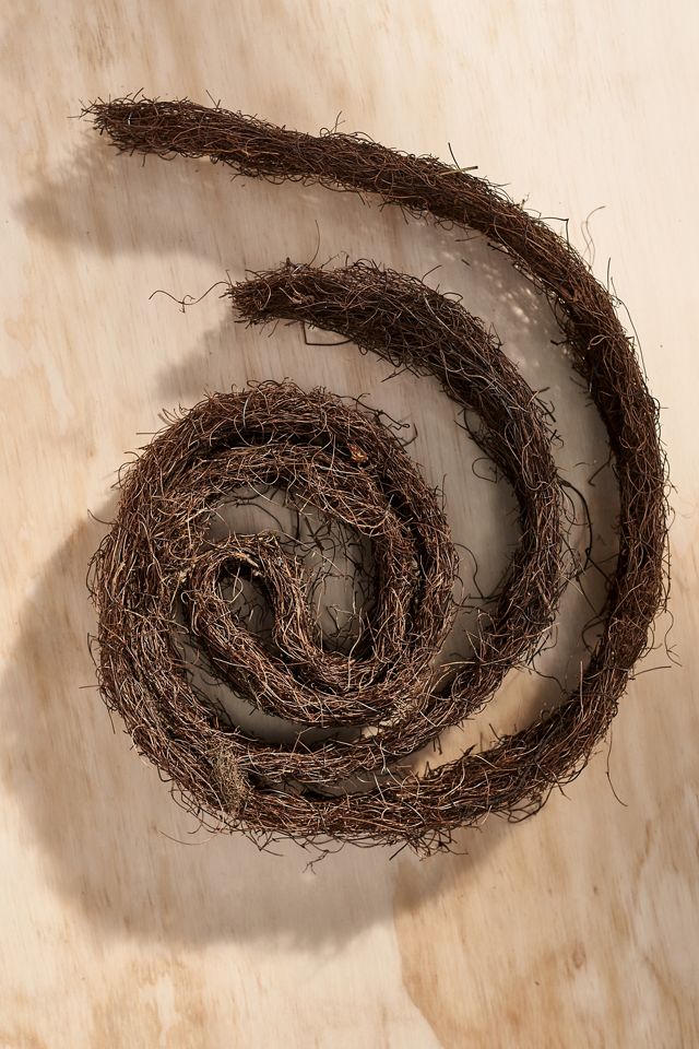 Dried Angel Vine Garland Terrain