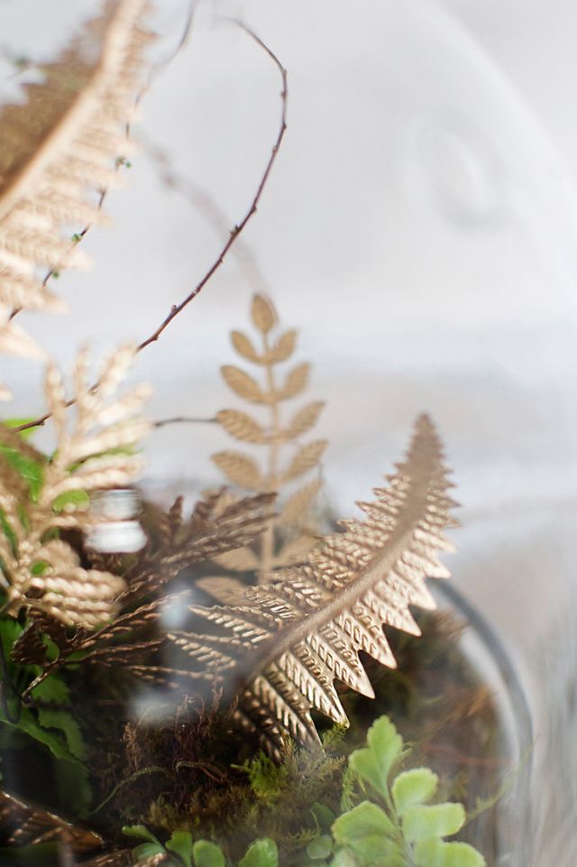 Domed Cloche + Tray Set #3