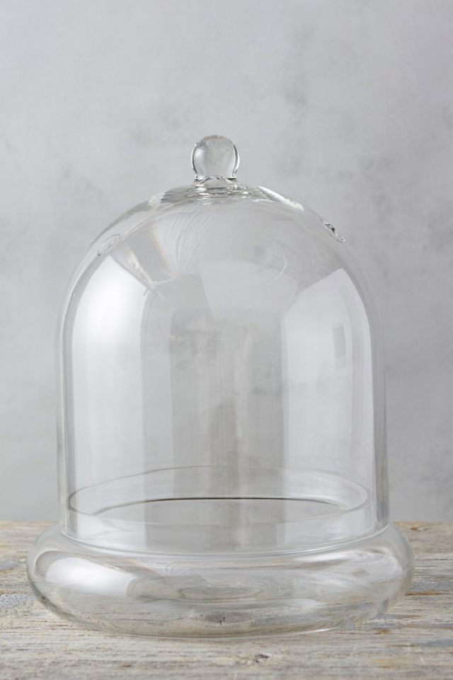 Domed Cloche + Tray Set #4