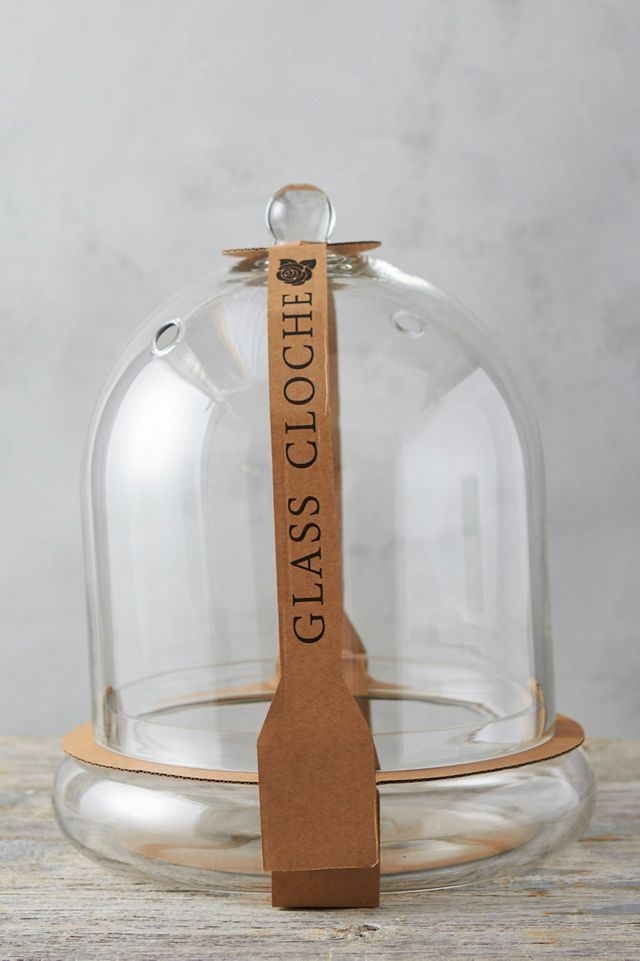 Domed Cloche + Tray Set #5