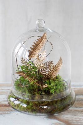 Domed Cloche + Tray Set