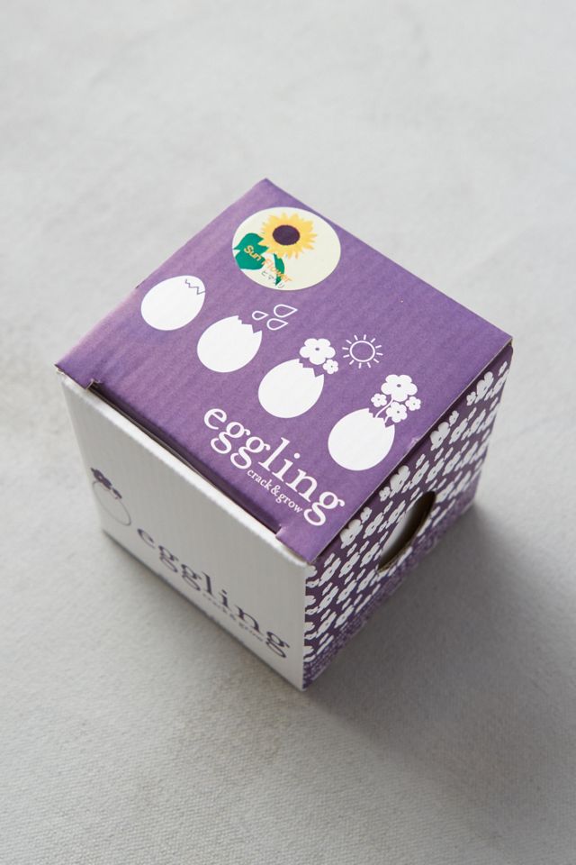Eggling Grow Kit #1