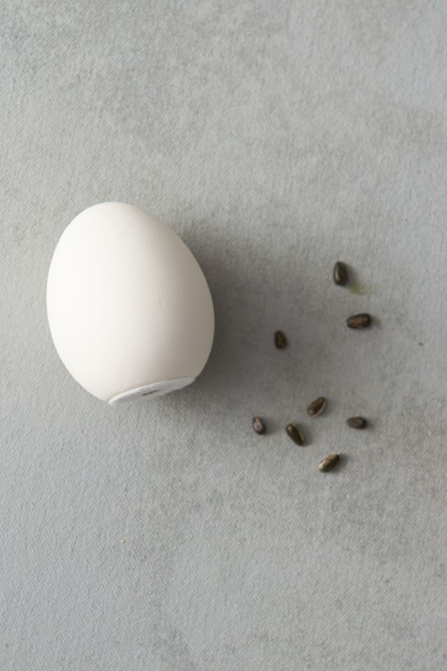 Eggling Grow Kit #3