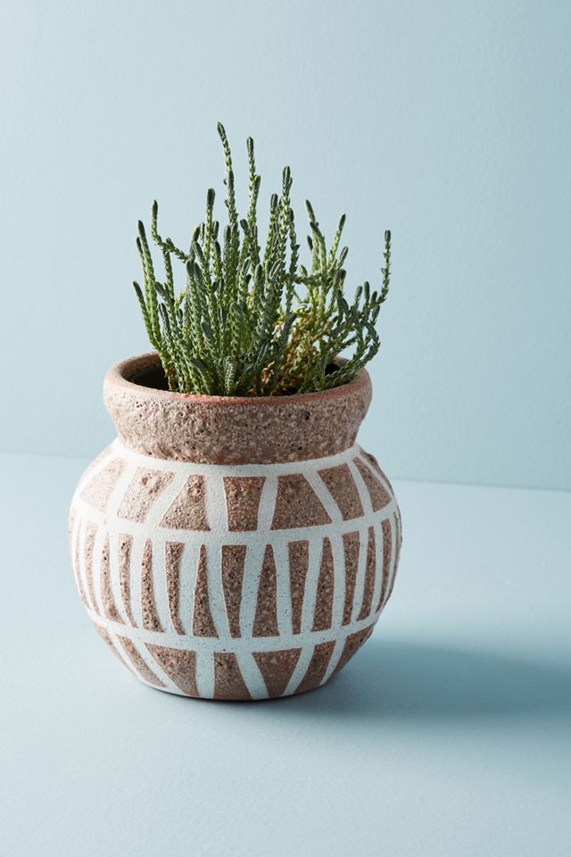 Rana Terracotta Vase #1