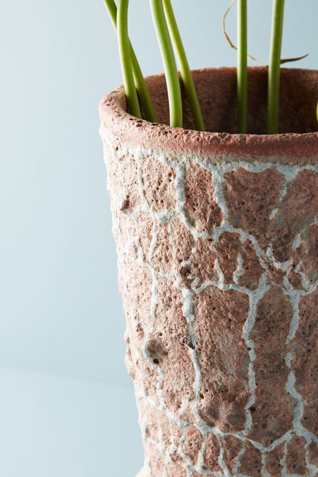 Rana Terracotta Vase #4