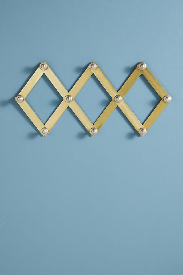 Metallic Accordian Hook Rack #1