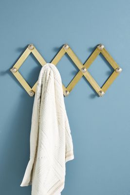 Metallic Accordian Hook Rack