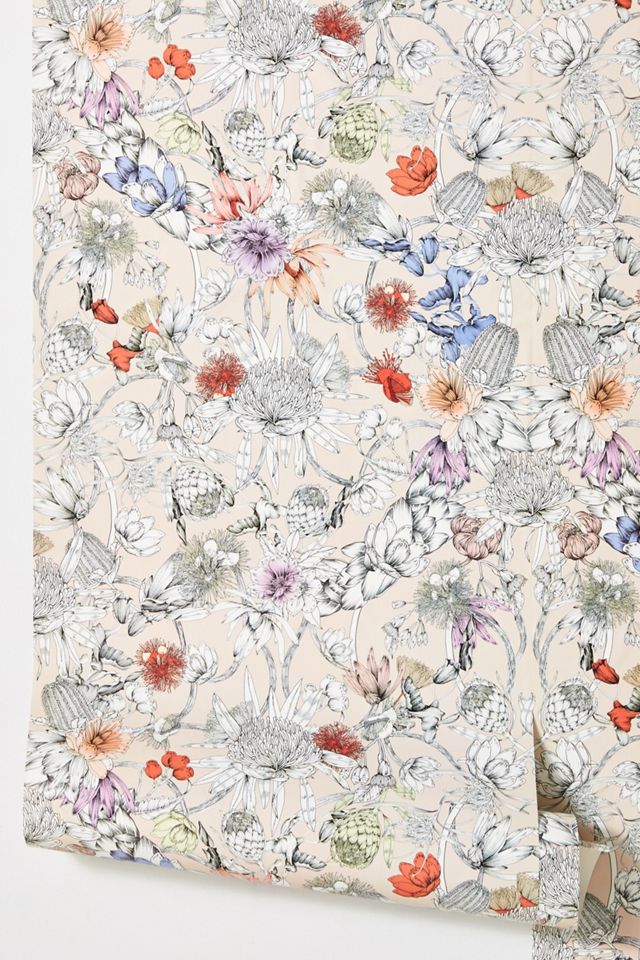 Anthropologie Sketched Songbird Wallpaper #3