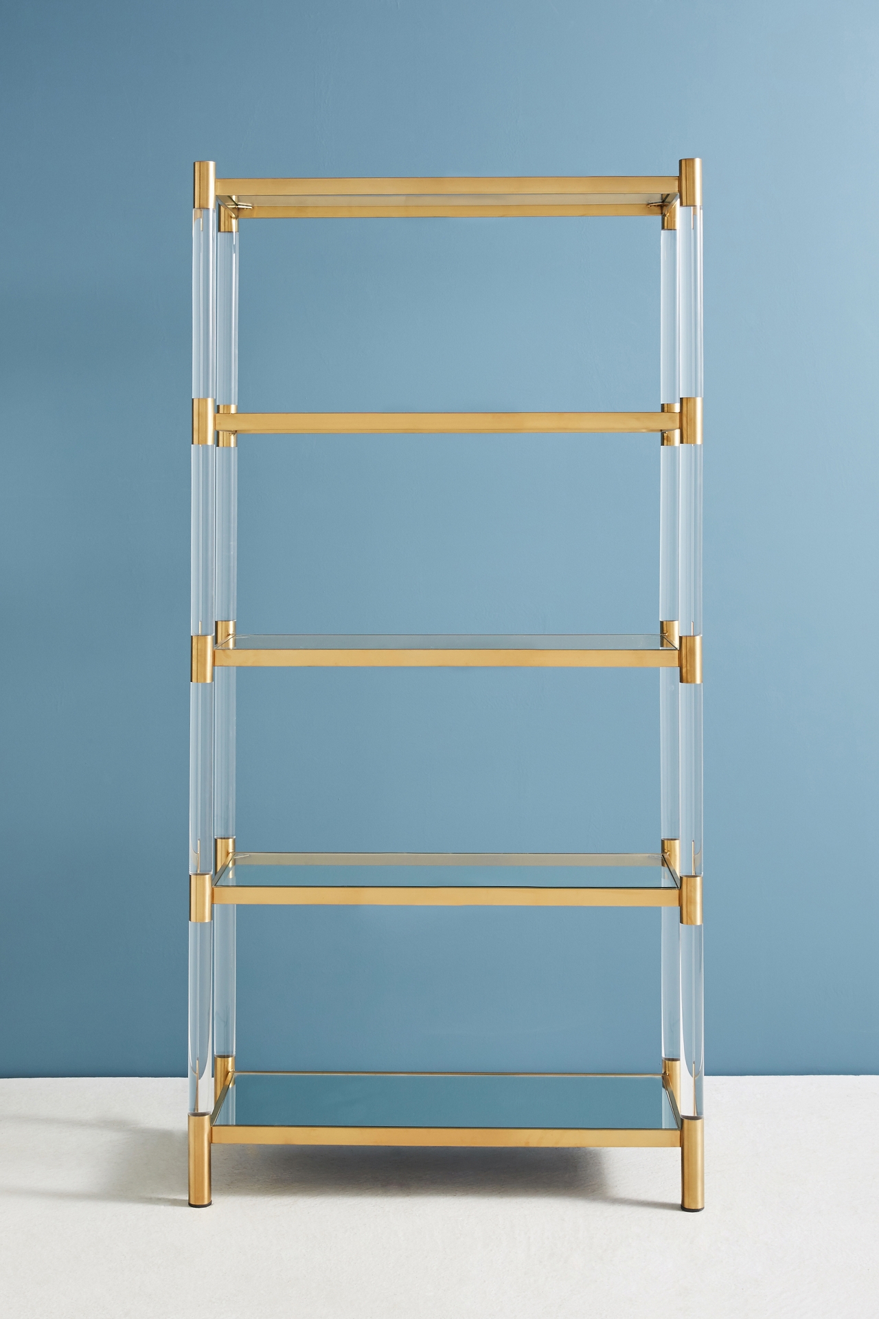 Oscarine Lucite Mirrored Bookshelf