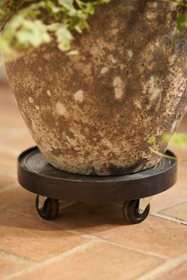 Rolling Plant Dolly, Black