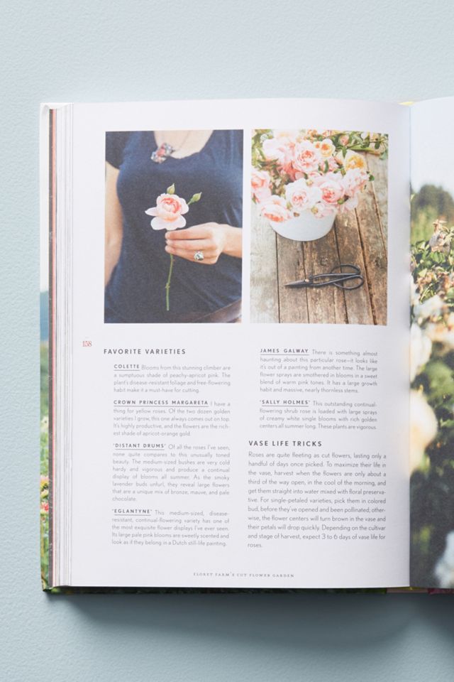 Cut Flower Garden #3