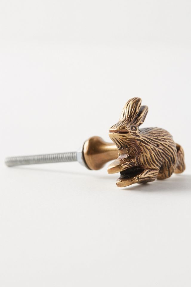Aesop Knob #4