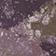 Purple Pattern