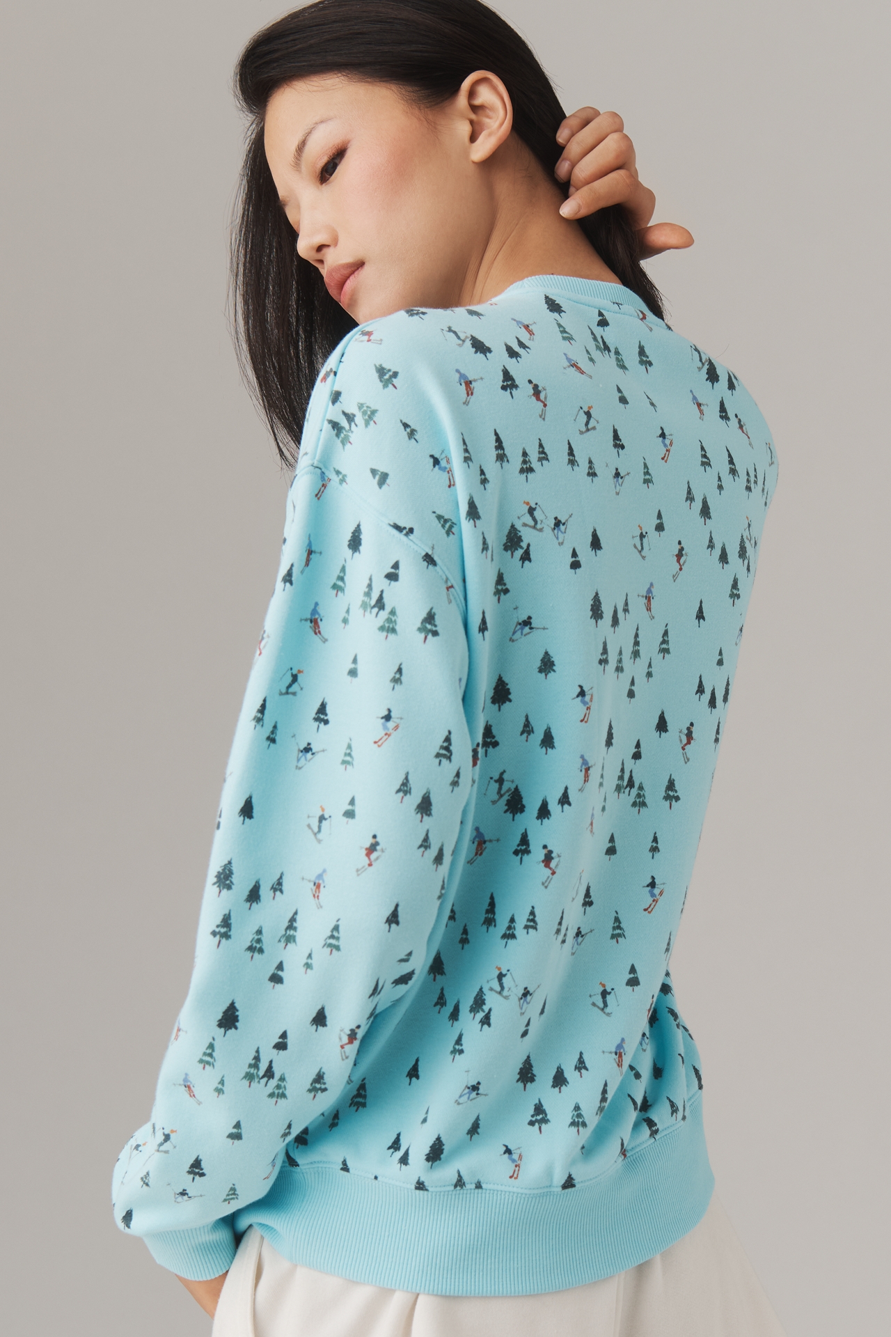 Beach Riot Devyn Alpine Crewneck Sweater