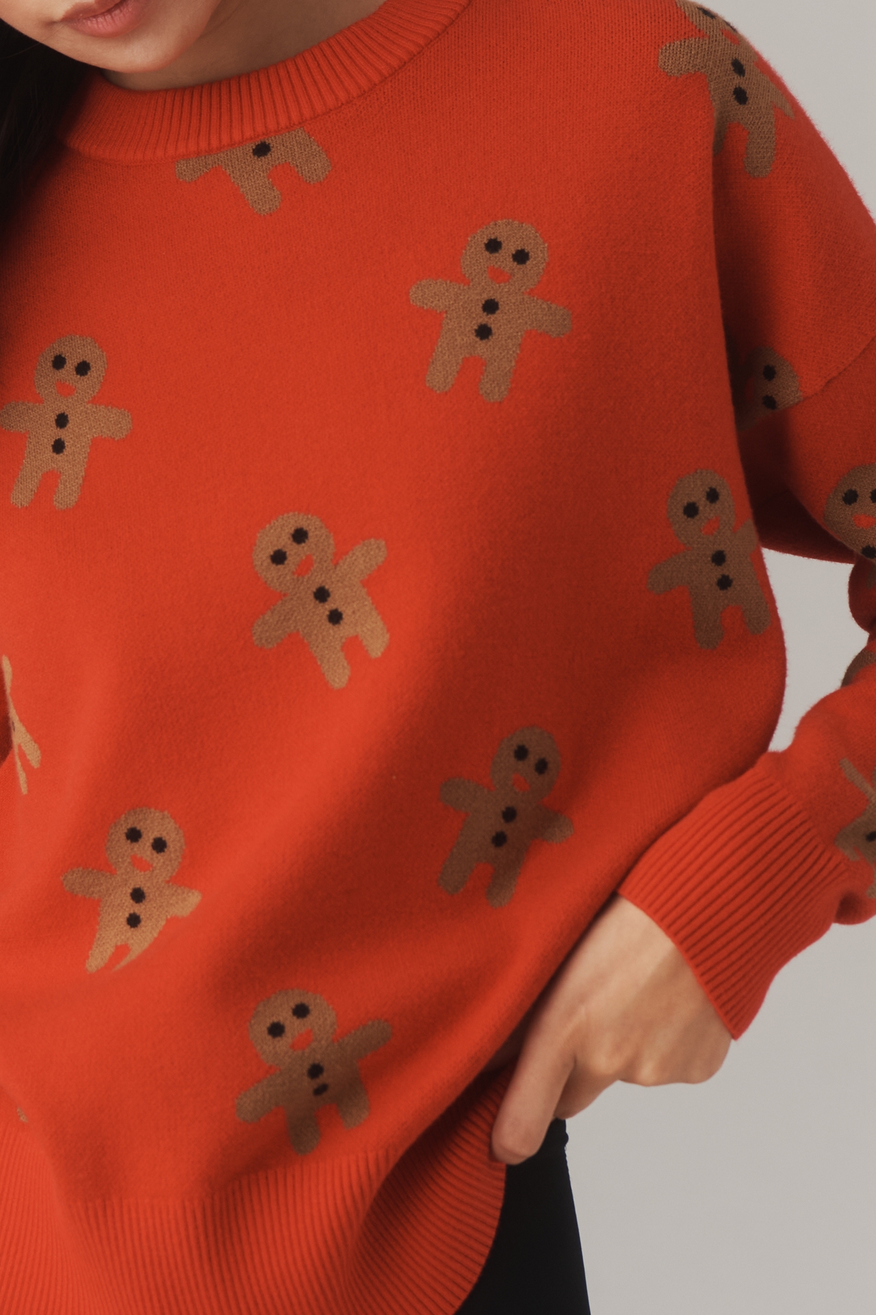 Beach Riot Gingerbread Oversized Crew-Neck Sweater