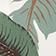 Banana Palms