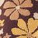 Yellow Floral