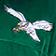 Eagles