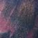 Purple Pattern