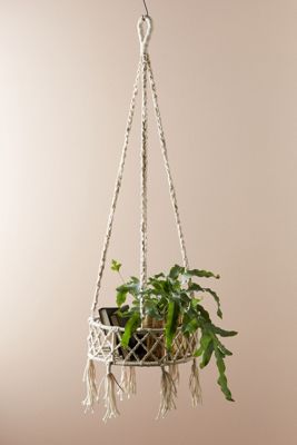 Soria Hanging Basket