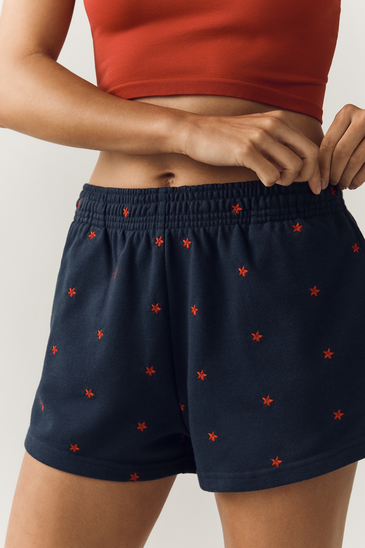 Beach Riot Malik Shorts