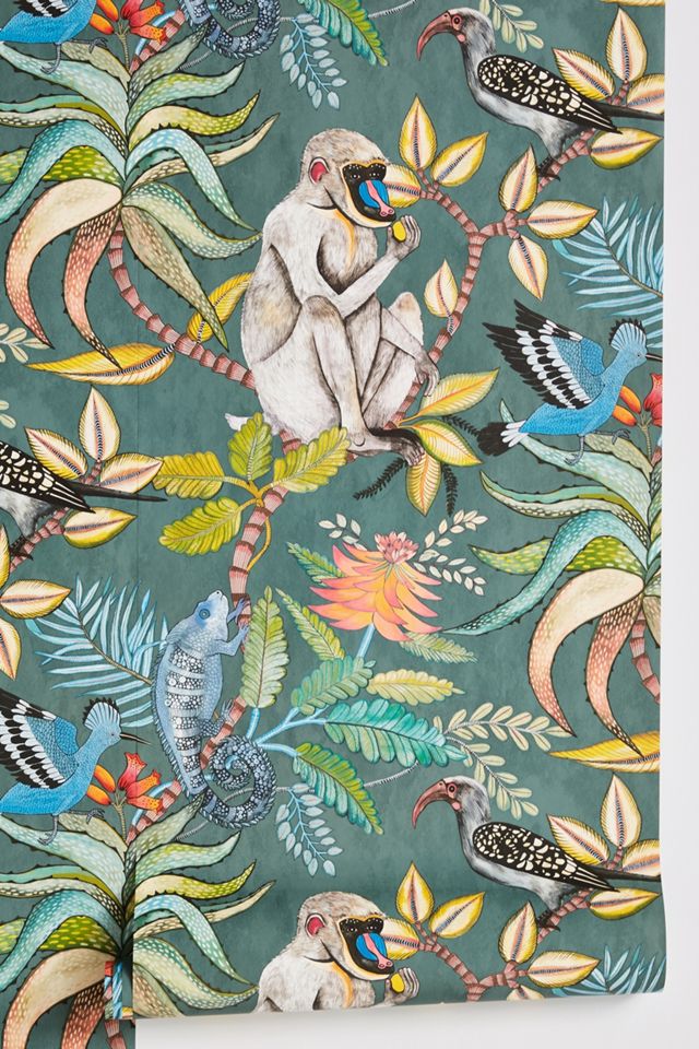 Cole & Son Canopy Creature Monkey & Bird Wallpaper #1