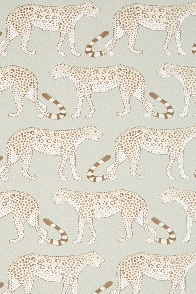 Leopard Walk Wallpaper #2