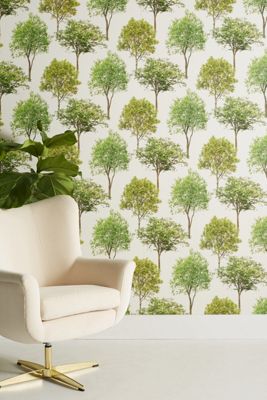 Tree Tops Wallpaper