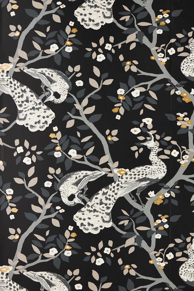 Plume Wallpaper #1