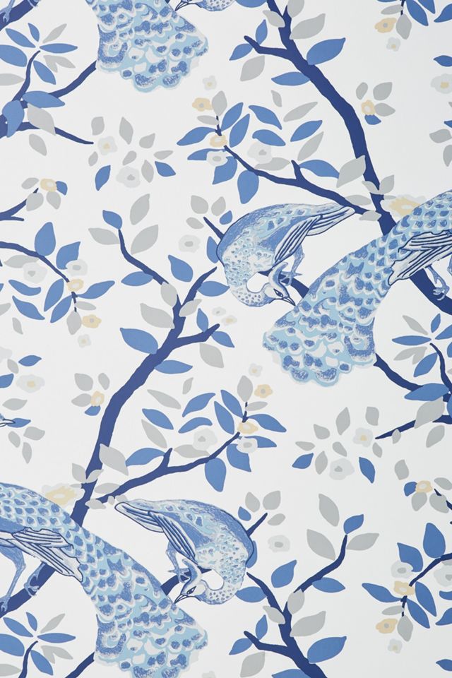 Plume Wallpaper #1