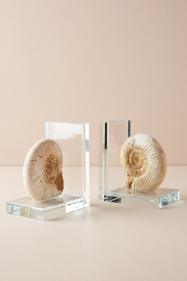 Fossil Form Bookends #1