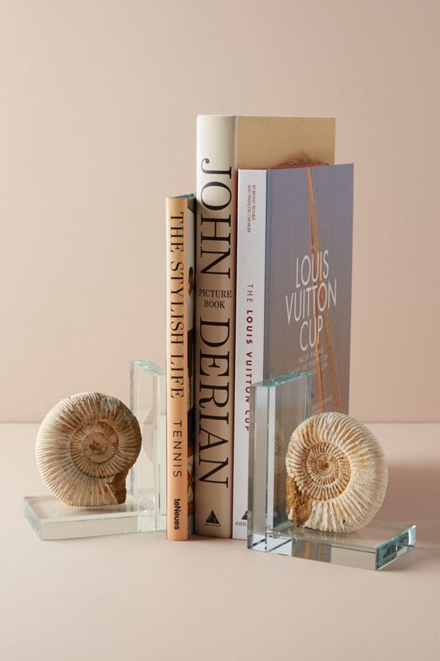 Fossil Form Bookends