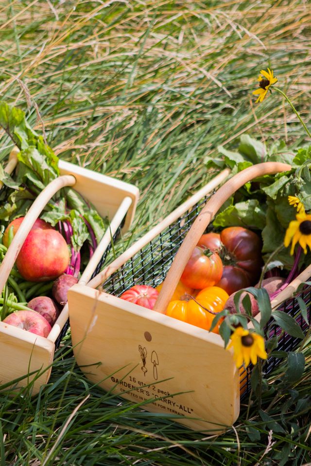 Woodland Yellow Garden Bucket Caddy by Terrain at Anthropologie