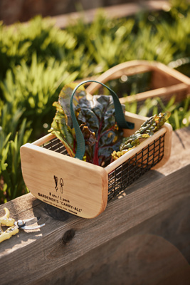 Maple Garden Carry-all | AnthroHome