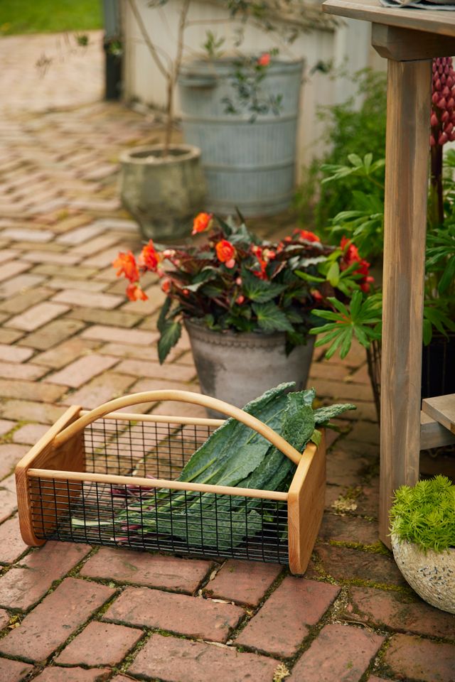 Woodland Yellow Garden Bucket Caddy by Terrain at Anthropologie