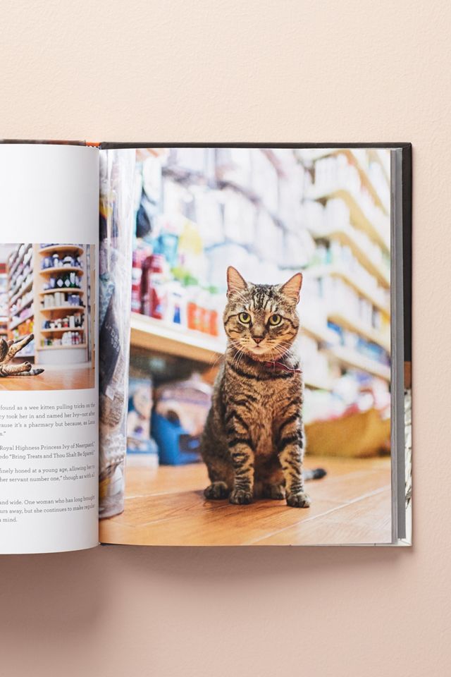 Shop Cats Of New York #1