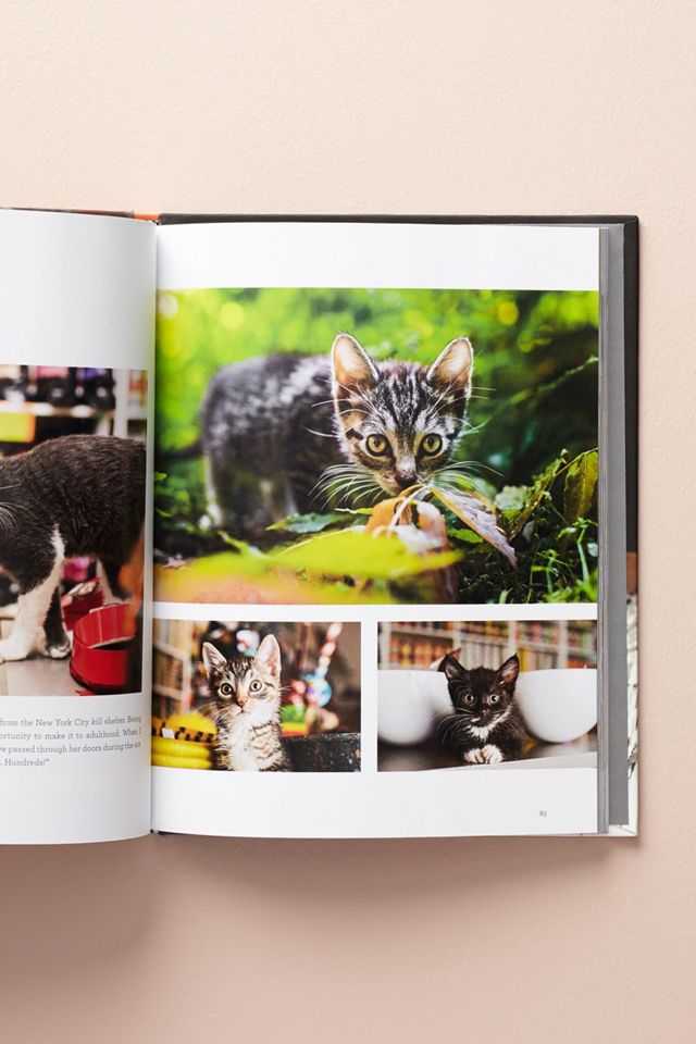 Shop Cats Of New York #2