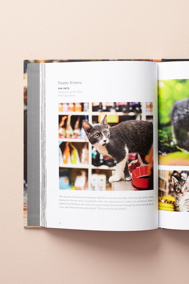 Shop Cats Of New York #3