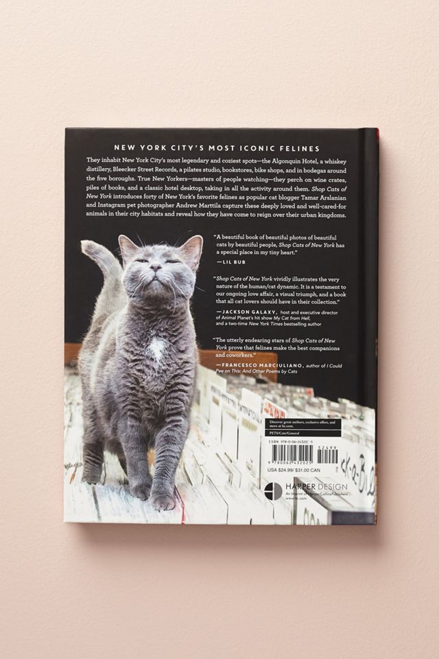 Shop Cats Of New York #4