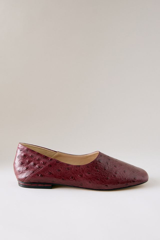 Zapatos Planos de Cuero con Punta Cuadrada Maeve #1