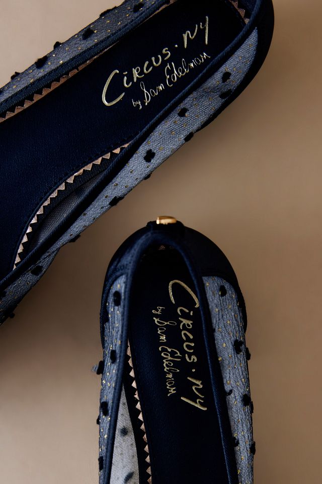 Ballerines Circus NY Darcey en maille à bout pointu #2