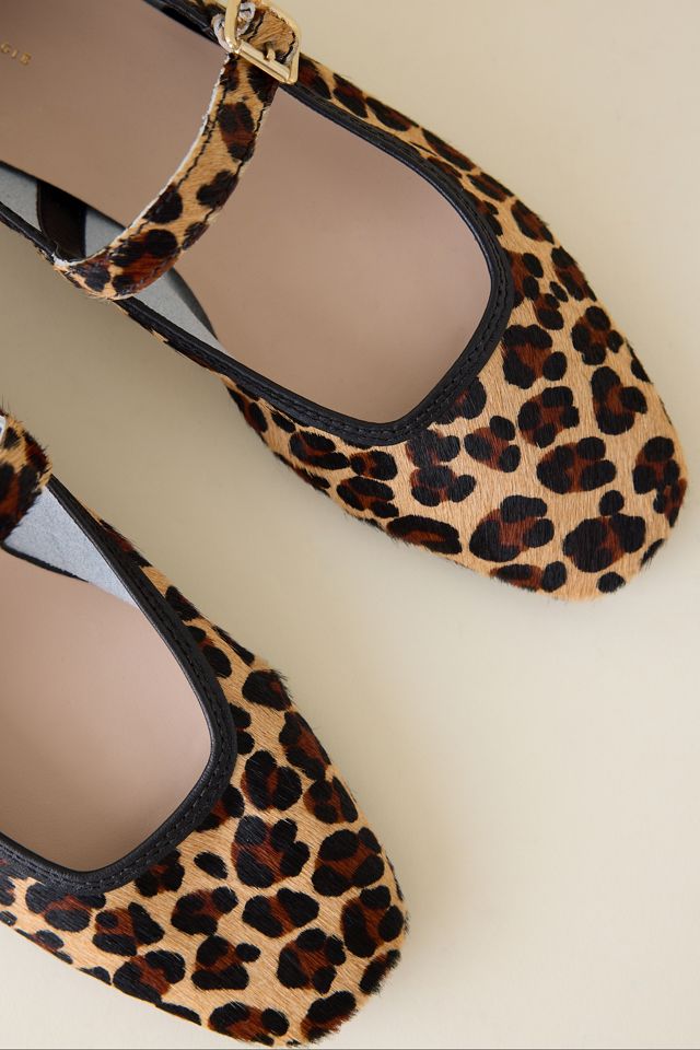 Bailarinas Estampado Animal #2