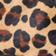 BROWN MOTIF