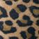BROWN MOTIF