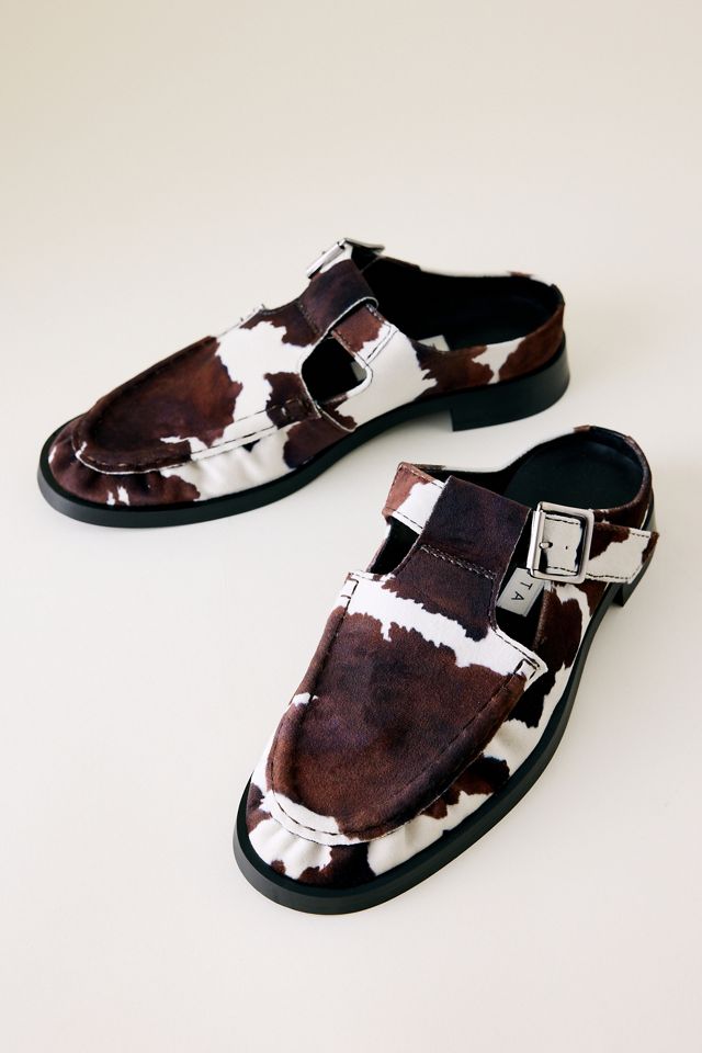Miista Gianna Cow Buckled Mules #1