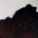 BLACK MOTIF