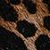 BROWN MOTIF