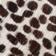 BROWN MOTIF