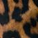 BROWN MOTIF